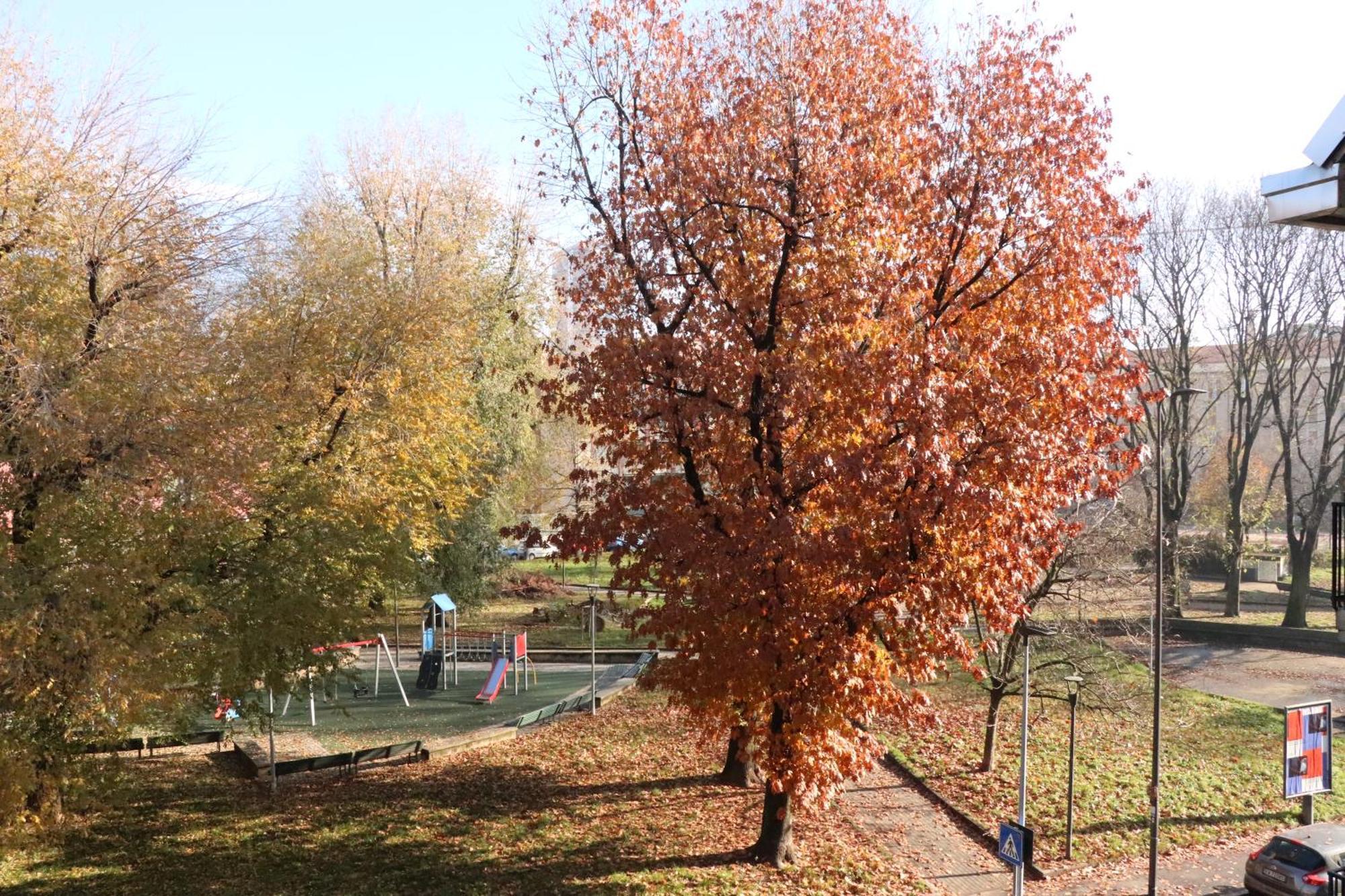 Appartamento Milano, Bovisa Politecnico, Dergano Metropolitana, Wifi - Garden エクステリア 写真